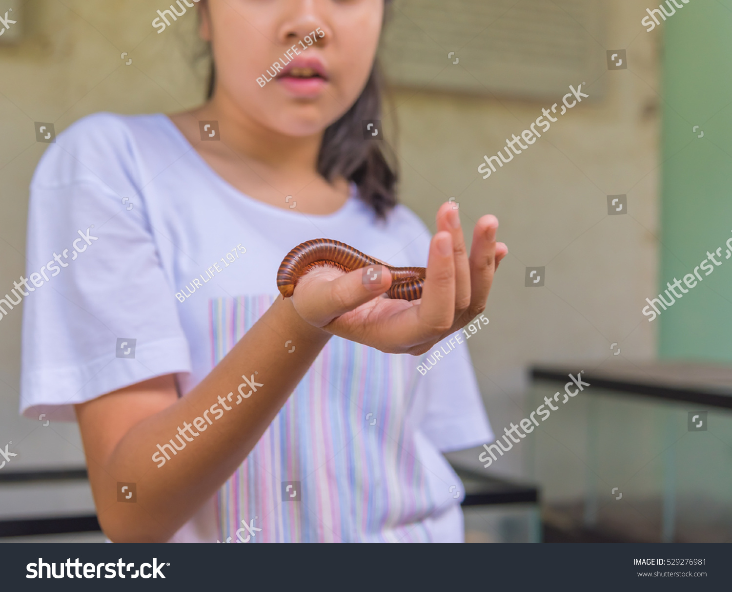 image of young asian girl hold Tropical spiral and many legs insect(millipede). #529276981