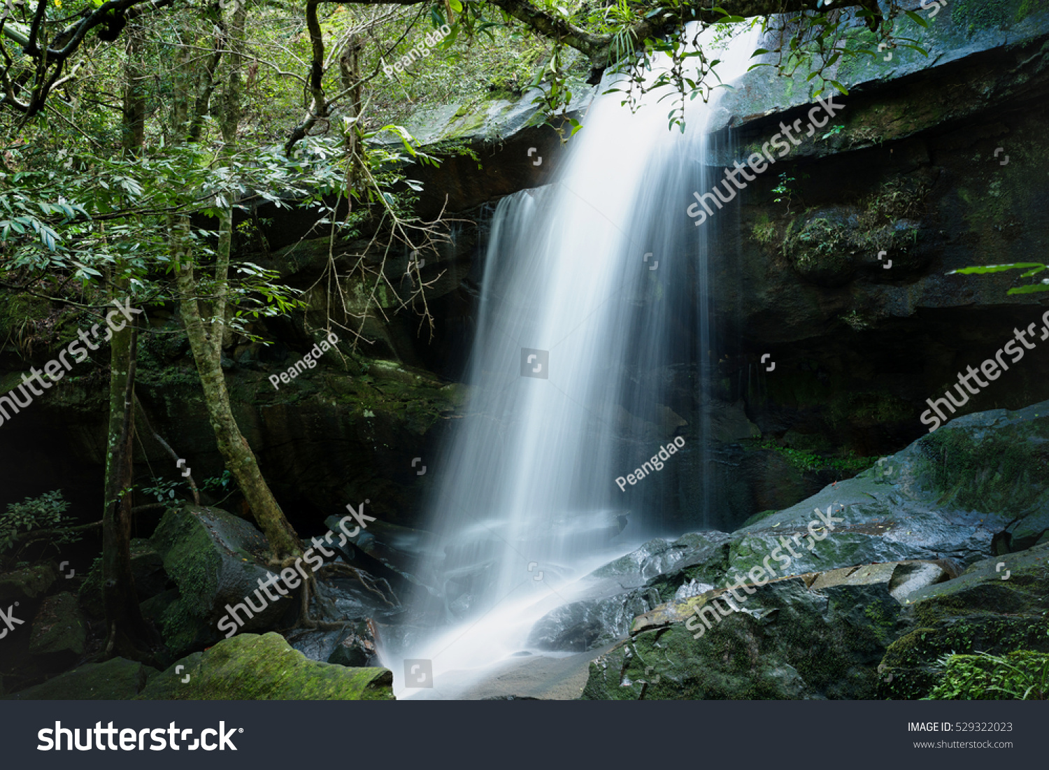 Tumyai waterfall at Phukradueng nationalpark, Located Loei Province, Thailand #529322023