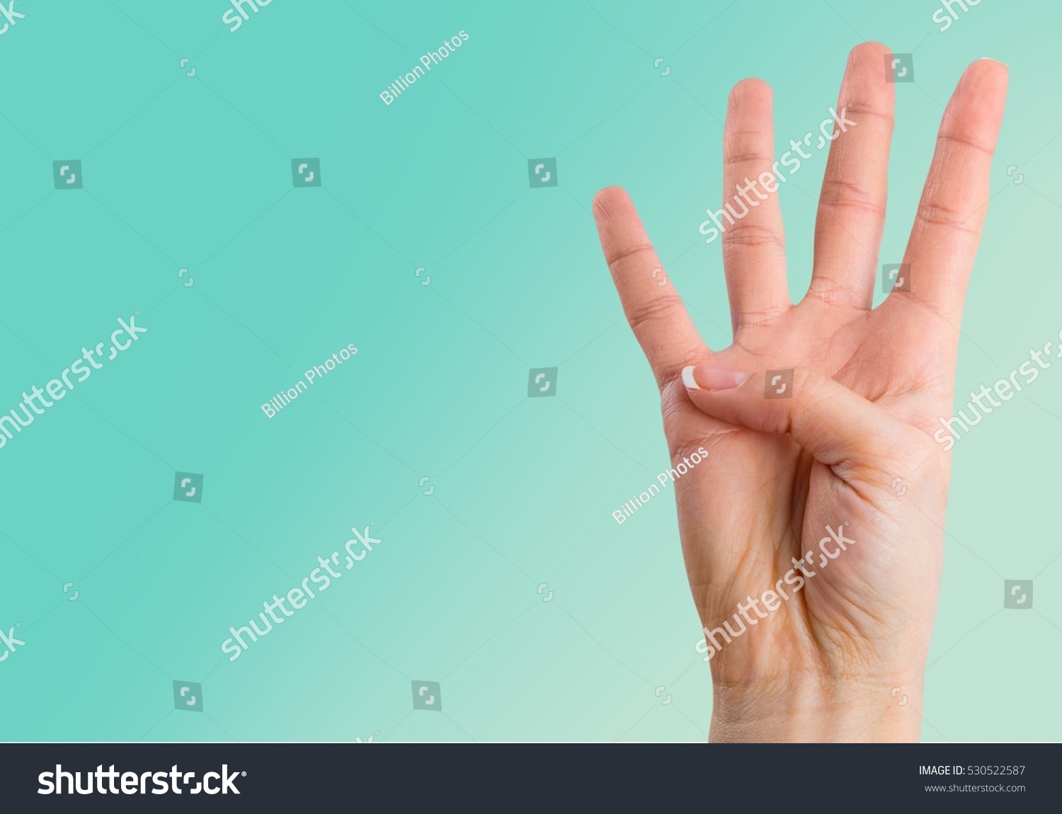 Human hand. #530522587