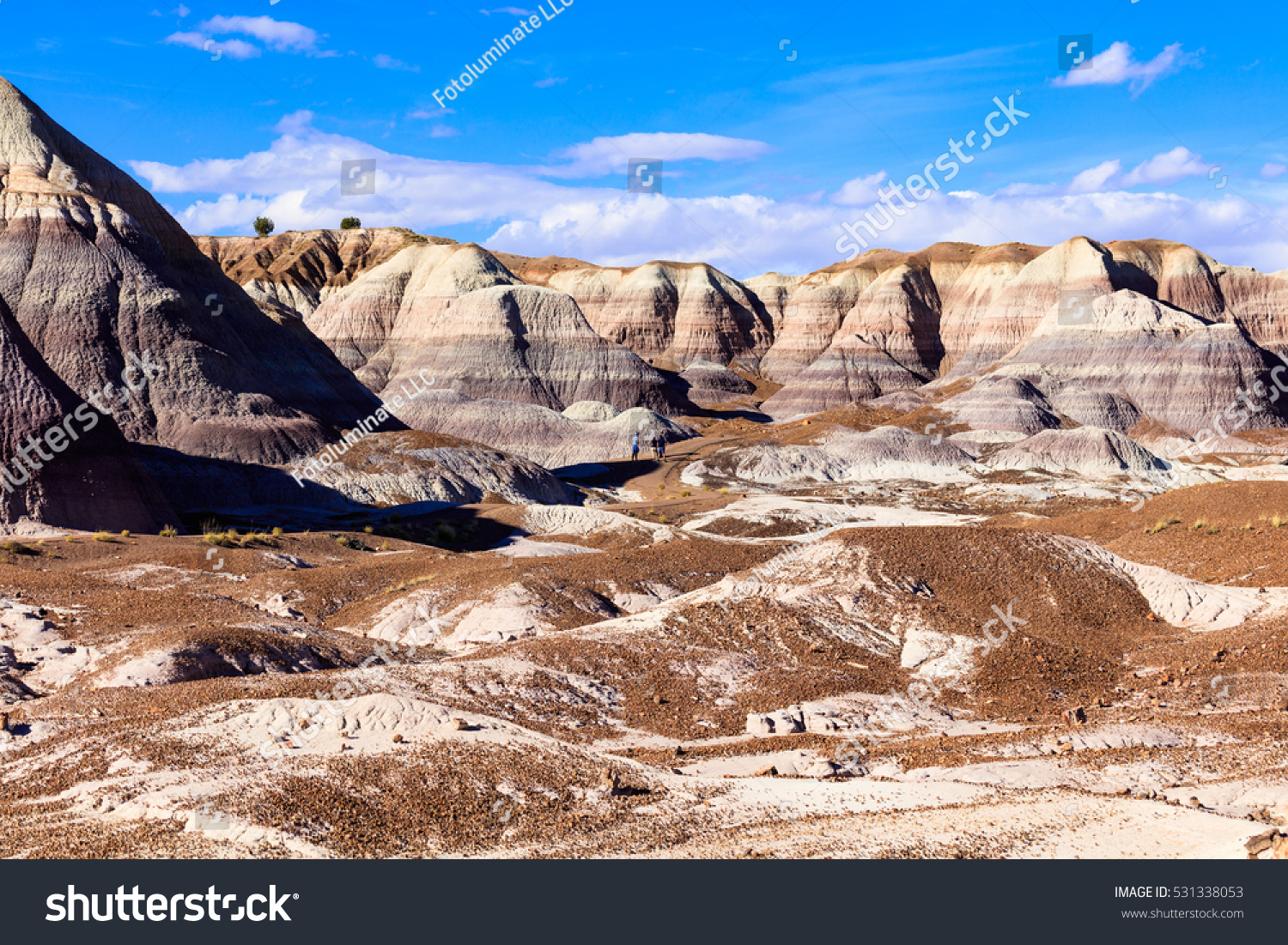 Desert landscape of the beautiful petrified forest in Arizona. #531338053