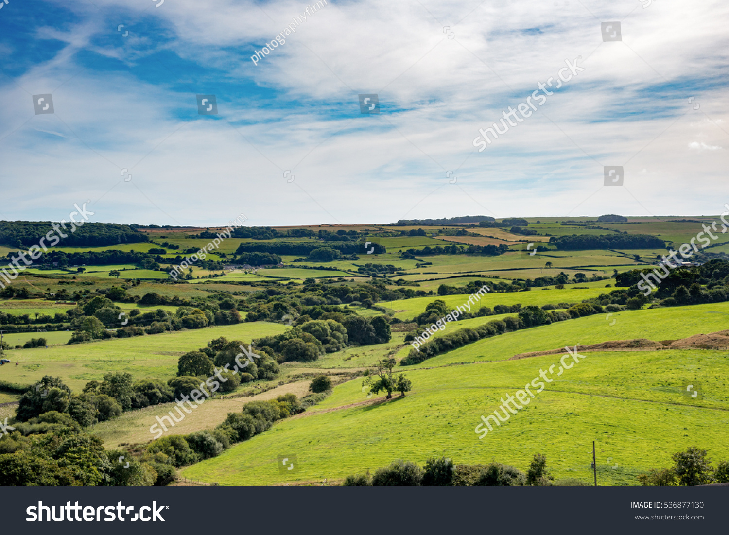 Rolling fields and trees of lush green British countryside stretch to the horizon under wispy clouds and blue sky #536877130