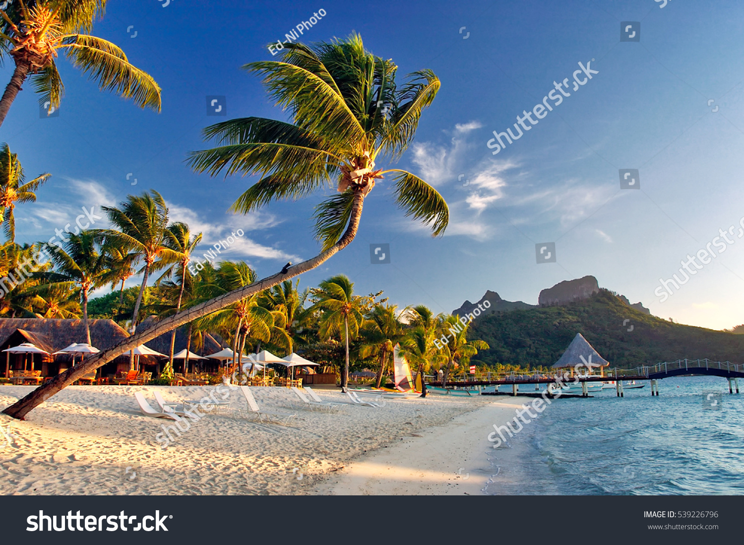 Beautiful Bora Bora island sunset sunrise on the beach, with palm trees, mountains background, in French Polynesia. #539226796