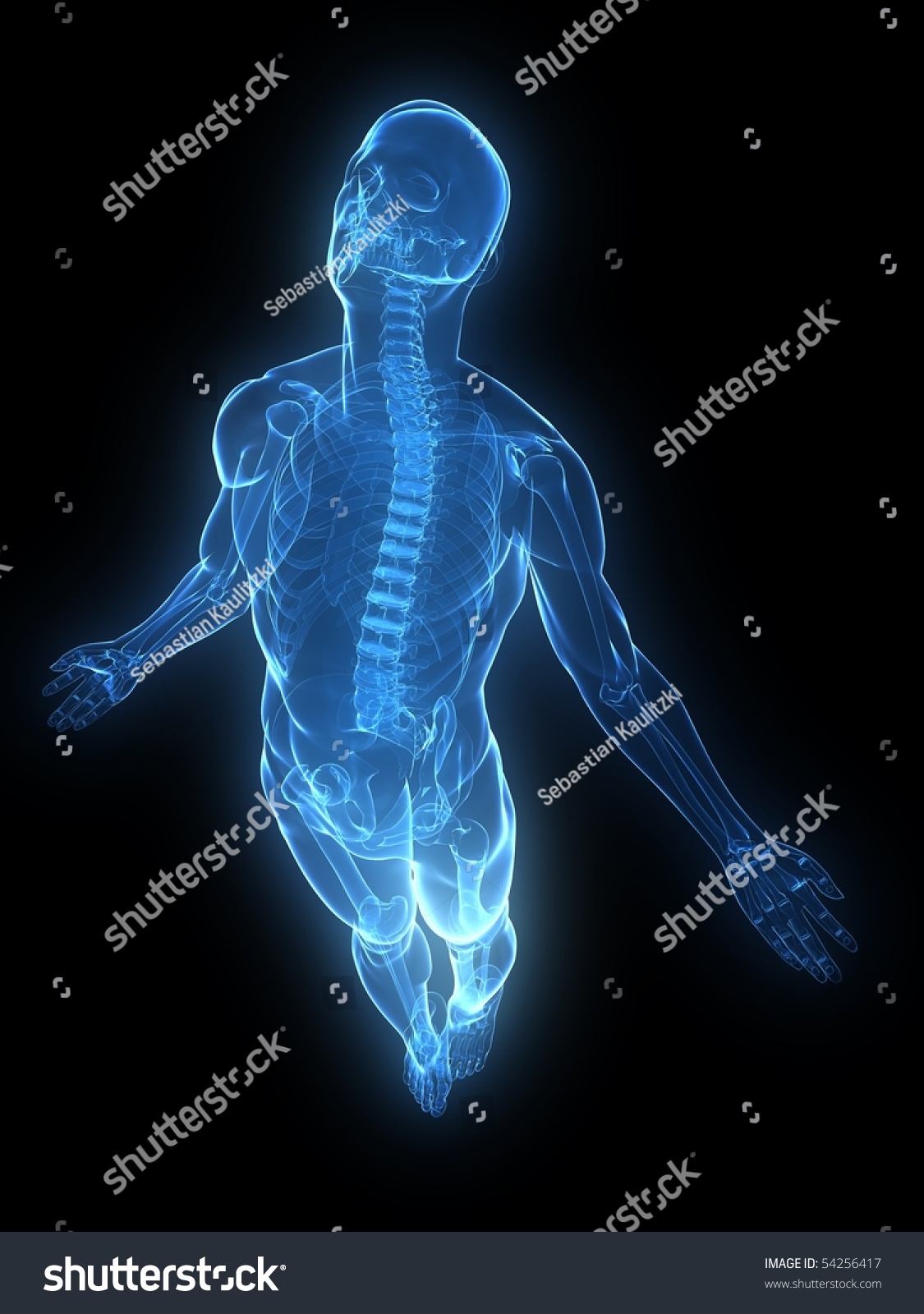 male body rise - Royalty Free Stock Photo 54256417 - Avopix.com