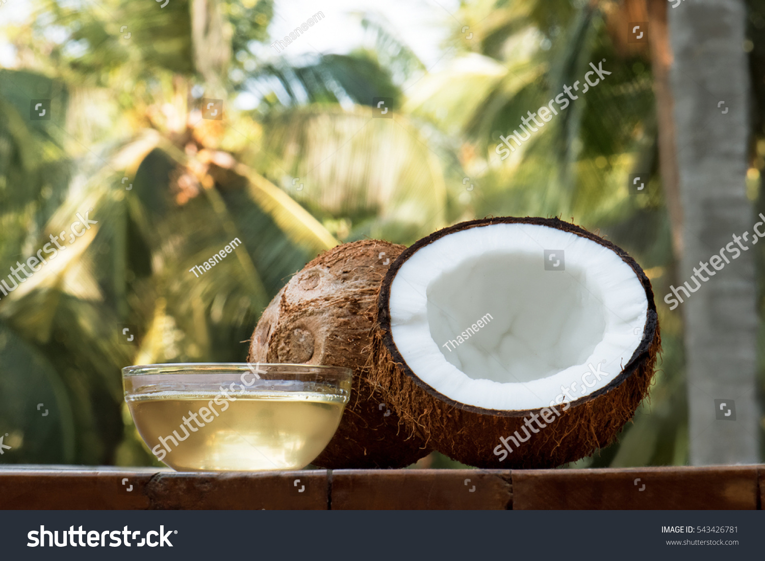 coconut and coconut oil with coconut tree background #543426781