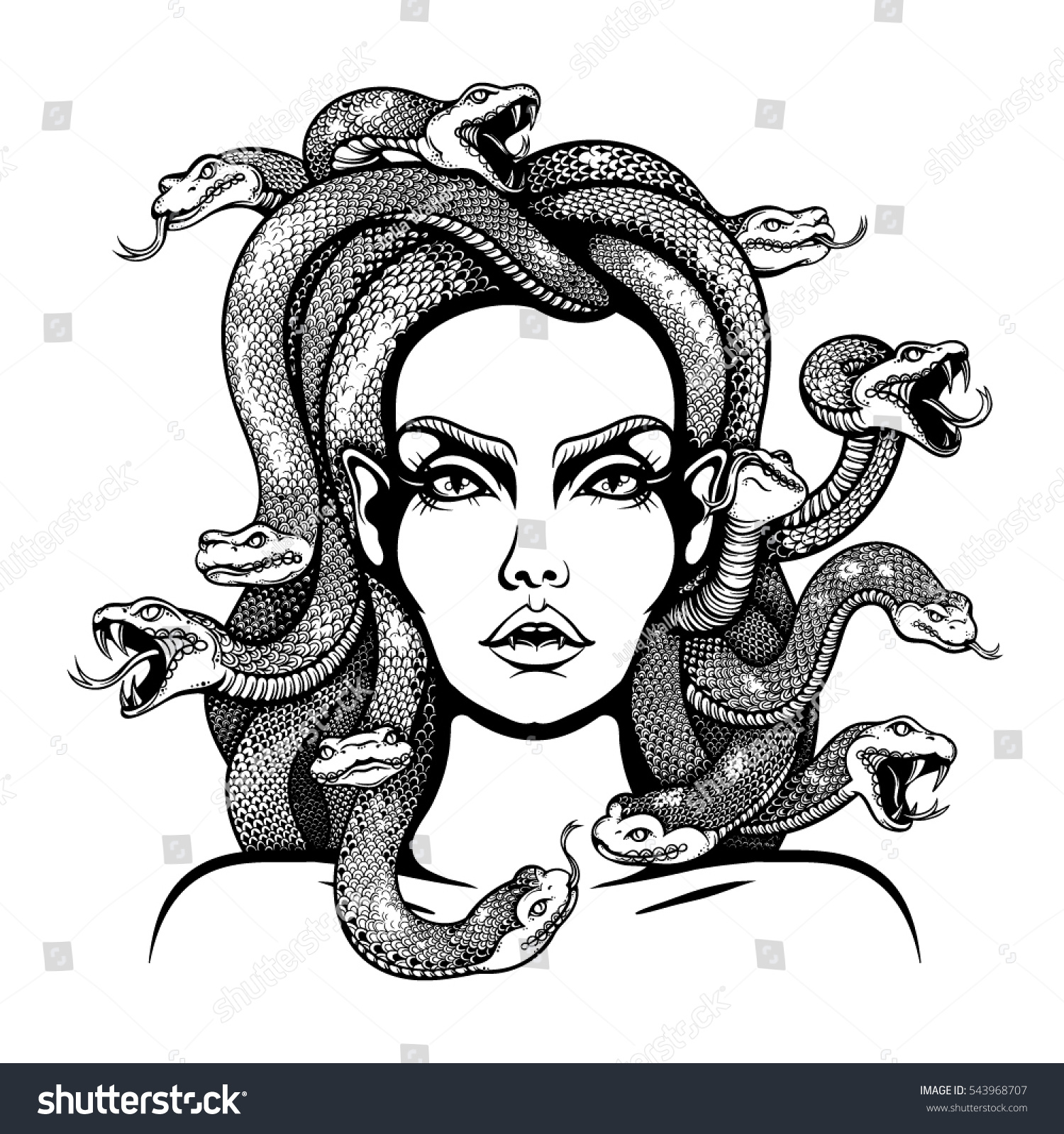 Vector Black And White Medusa Gorgon Woman Head Royalty Free Stock