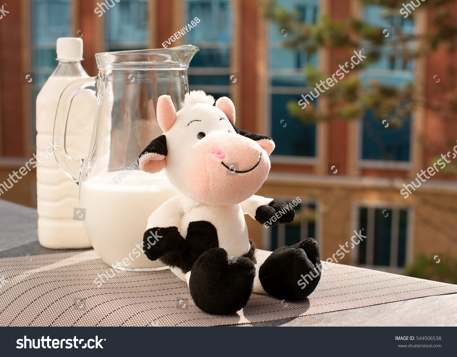 Milk and toy cow. Funny spotted cow against a background of milk. Milk in a jug and a plastic bottle on the windowsill balcony. Breakfast is good for health. #544506538