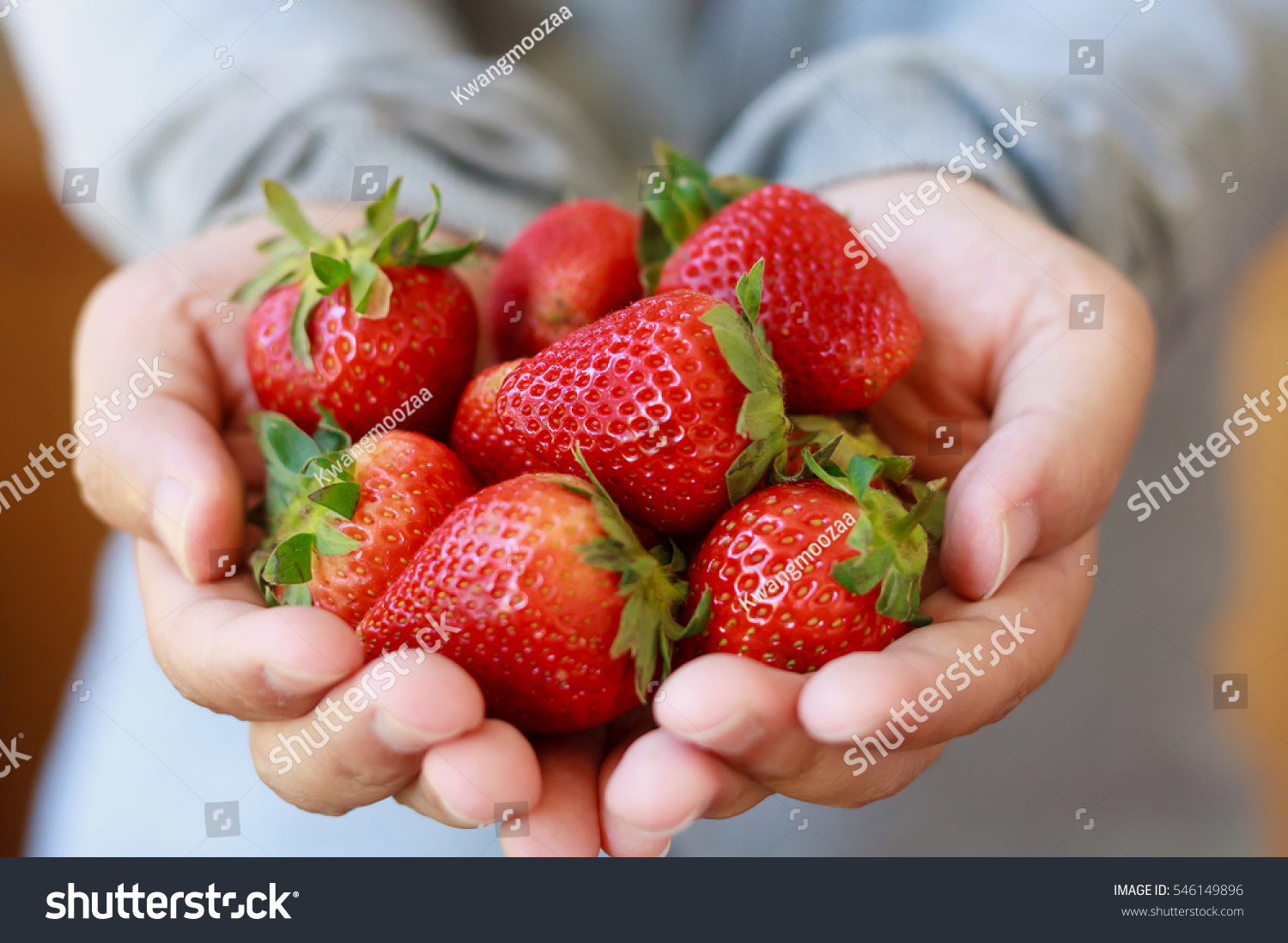 holding fresh strawberry in hands #546149896