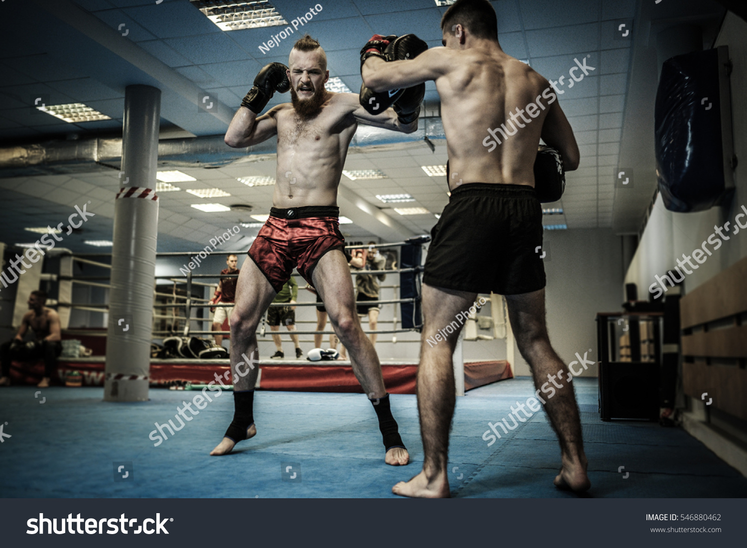 Two professionals fighters training together with punching pads at gym #546880462
