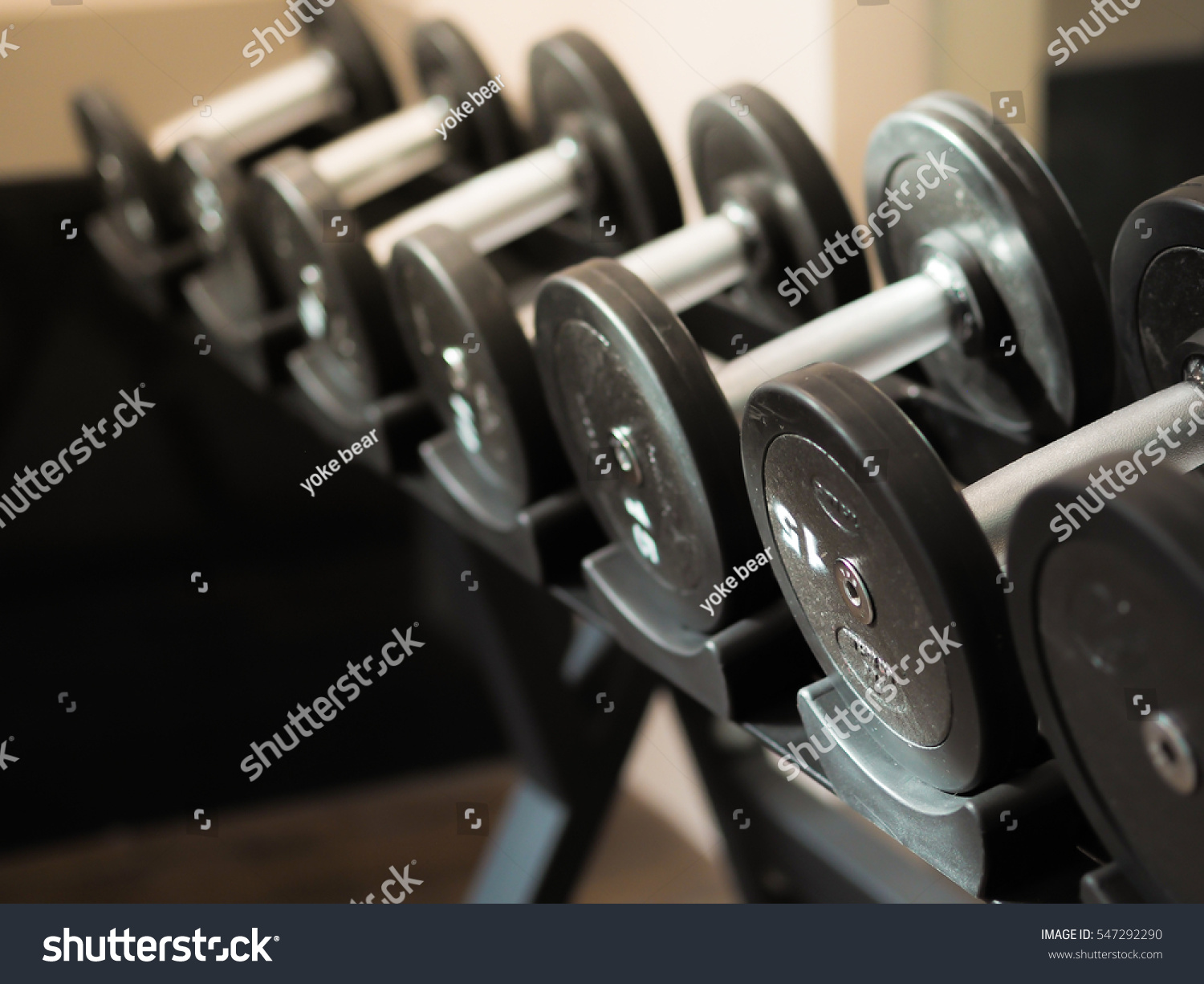 dumbbells in gym  many dumbells in sport fitness center #547292290