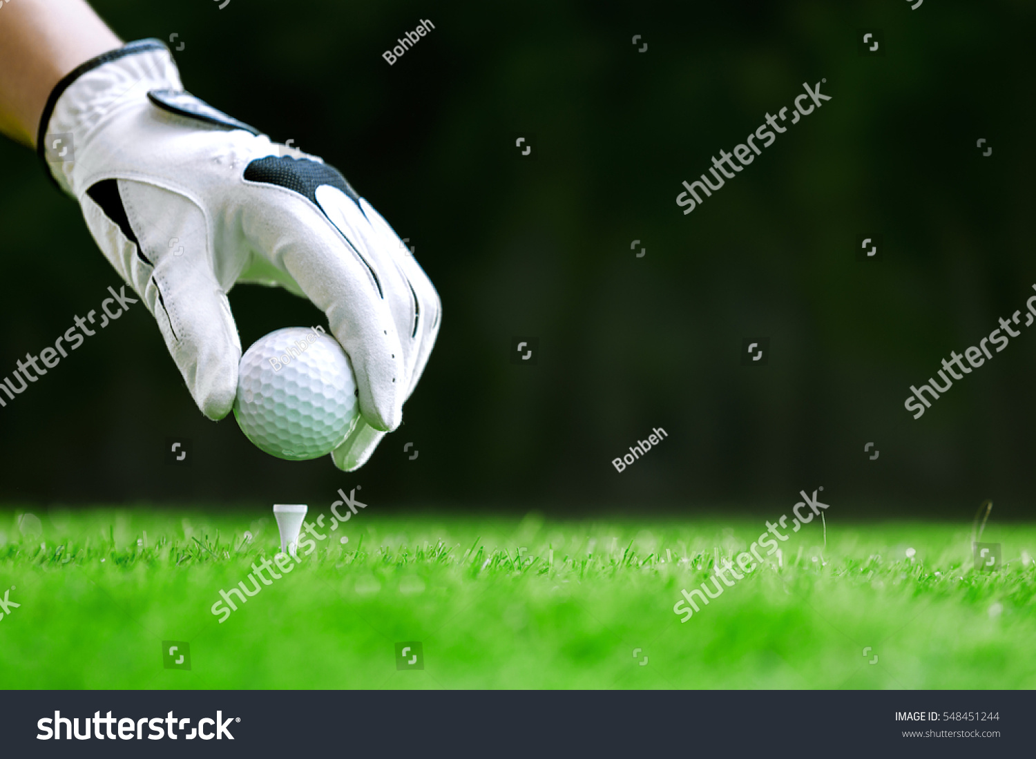Hand putting golf ball on tee in golf course #548451244