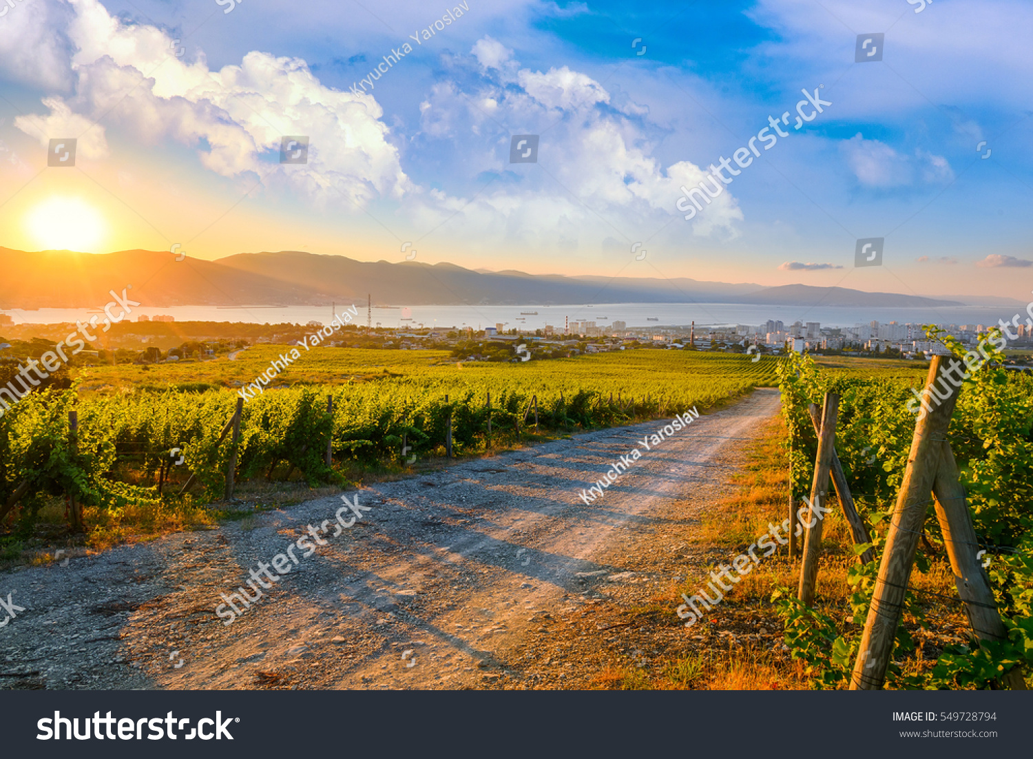 Morning sunrise landscape panoramic view on bay and sea port city. Summer nature sunrise with dramatic clouds sky.  #549728794