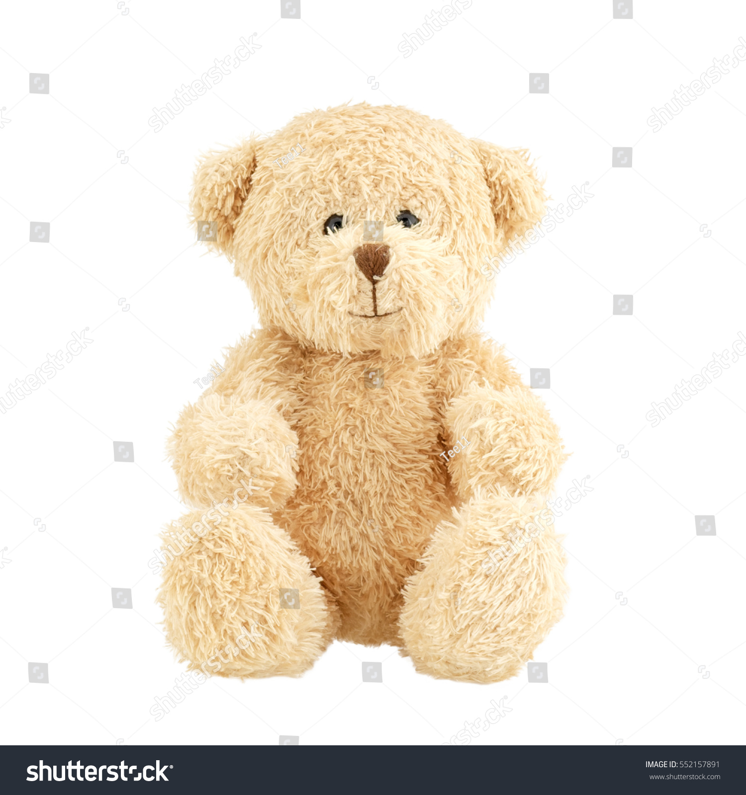 Light brown teddy bear isolated on white background. #552157891