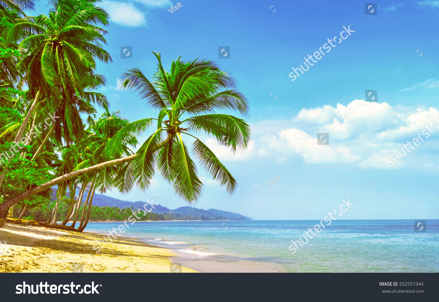 Beautiful sunny beach. View of nice tropical beach with palms around. Holiday and Vacation concept #552551944