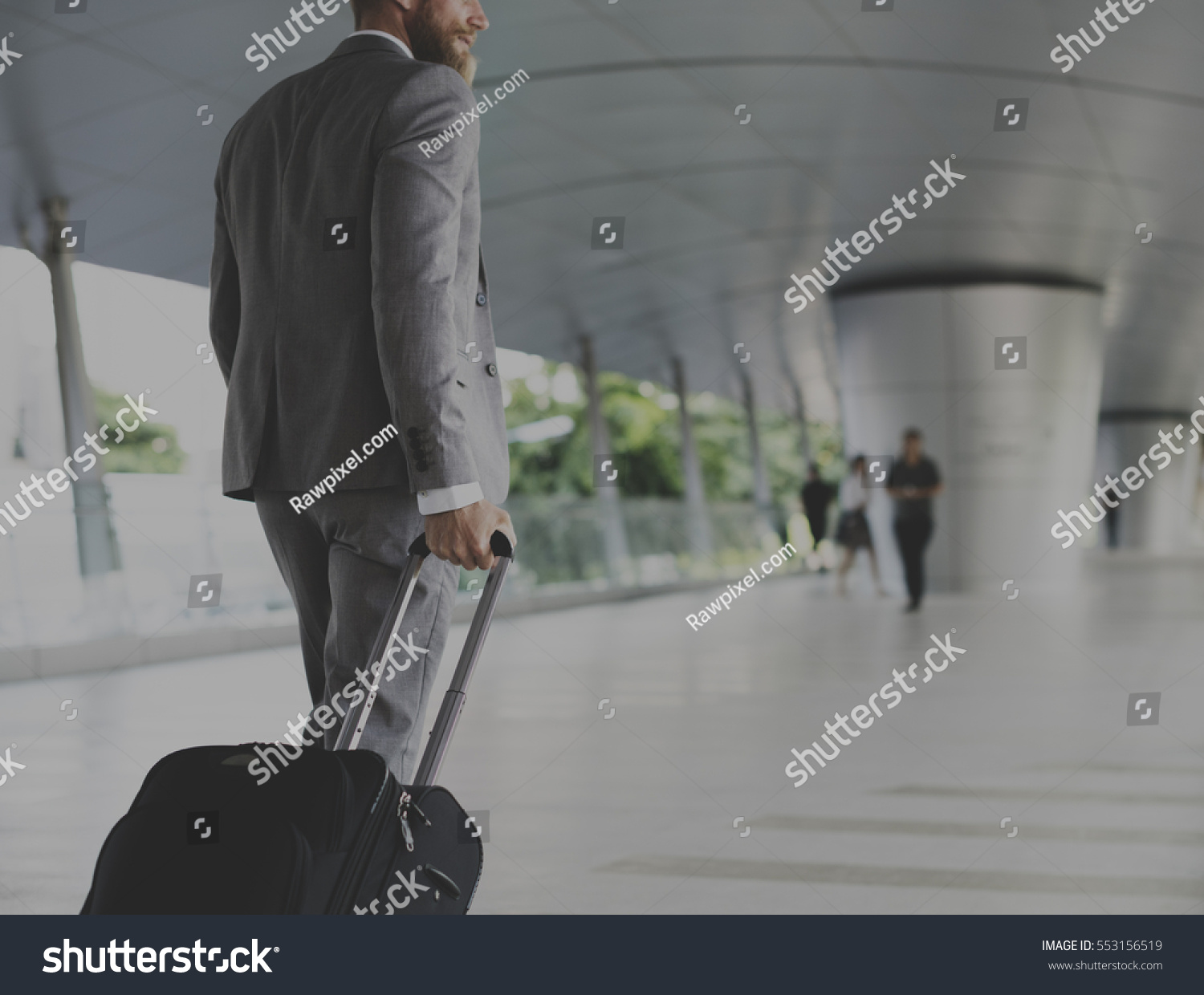 Businessmen Luggage Business Trip Travel #553156519