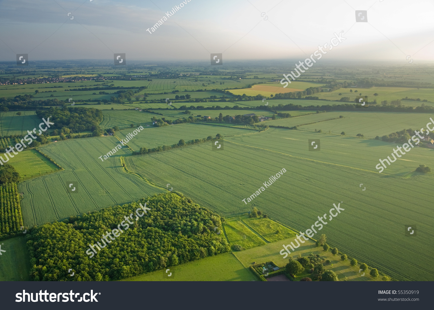 view over the early summer green fields from the air; East Anglia; UK #55350919