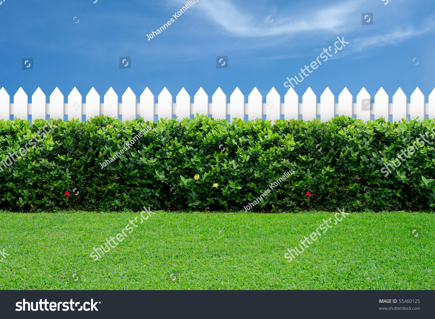 White fence and green grass on blue sky. #55460125