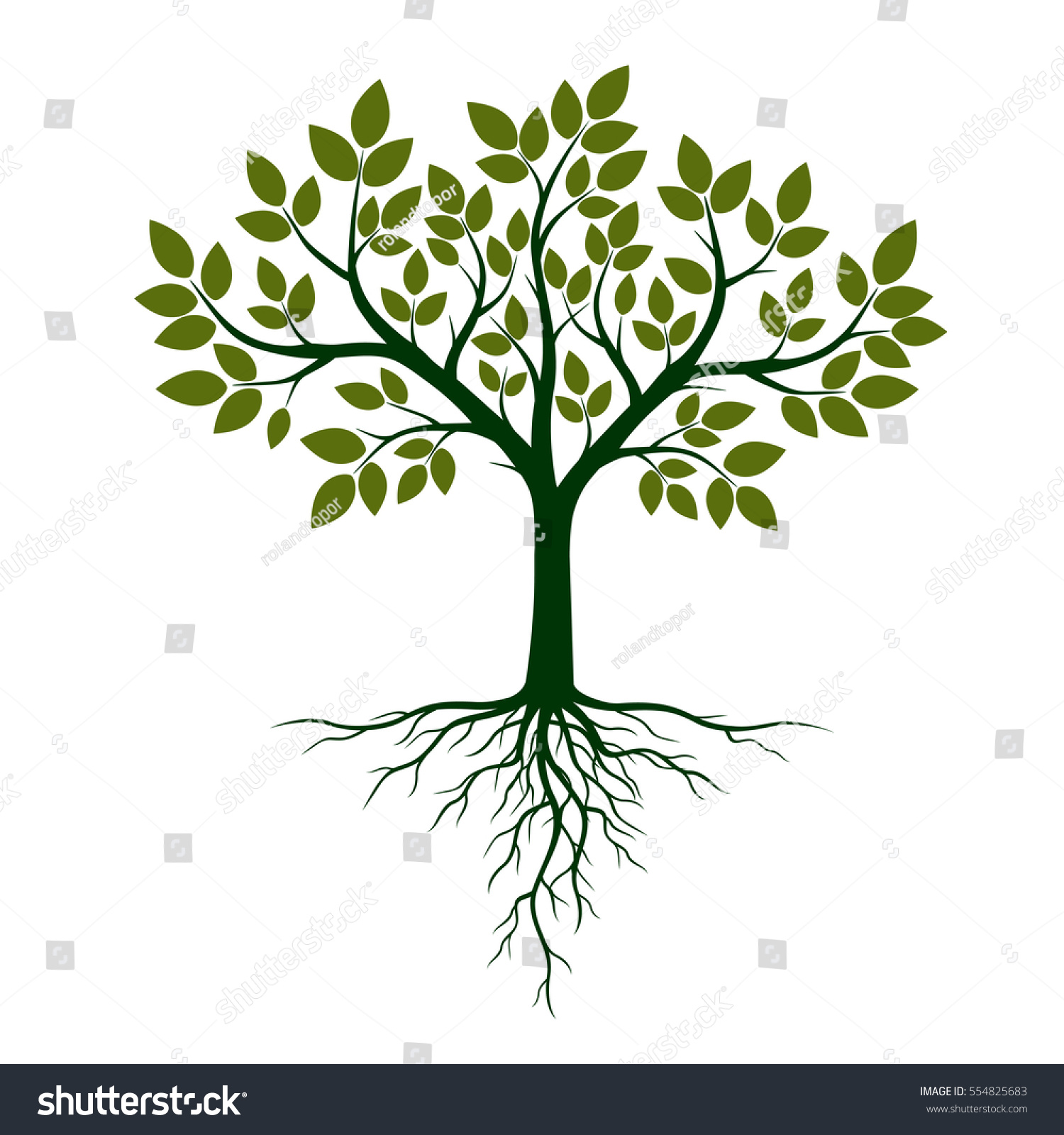 Green Tree with Roots. Vector Illustration. #554825683