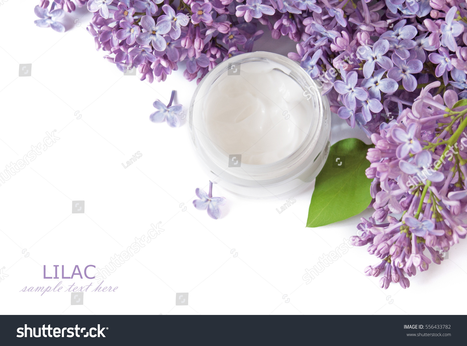 Lilac flowers and cosmetic cream isolated on white background. Natural cosmetic concept #556433782