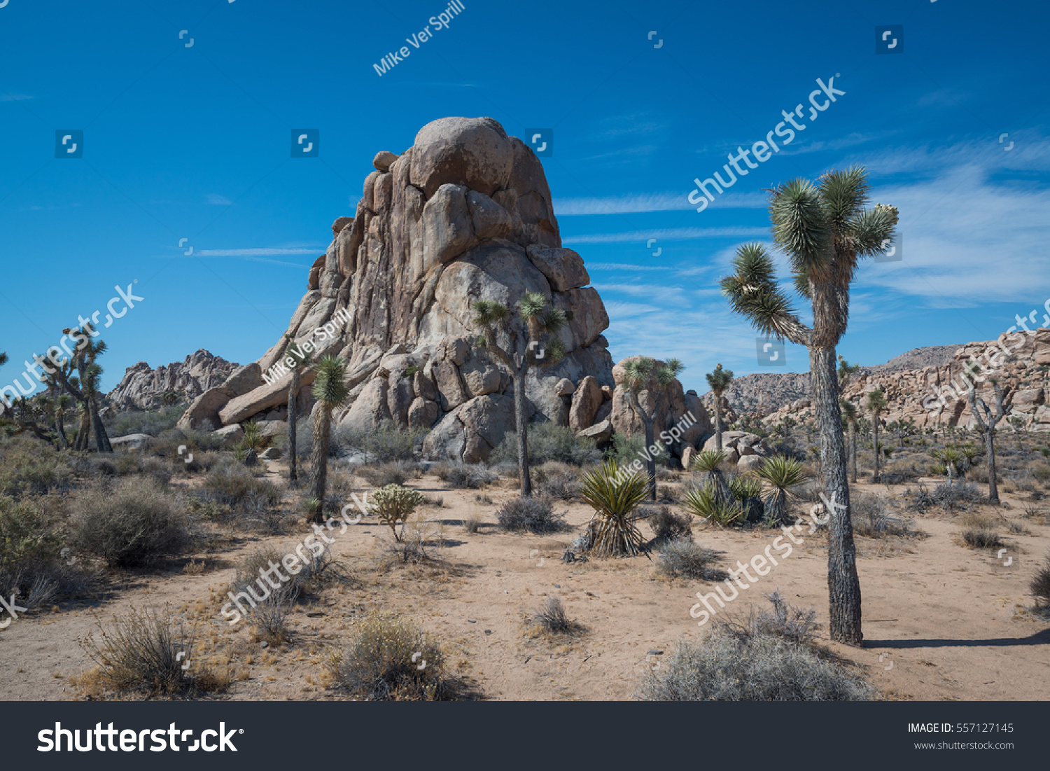 Joshua Tree desert landscape during the day . #557127145