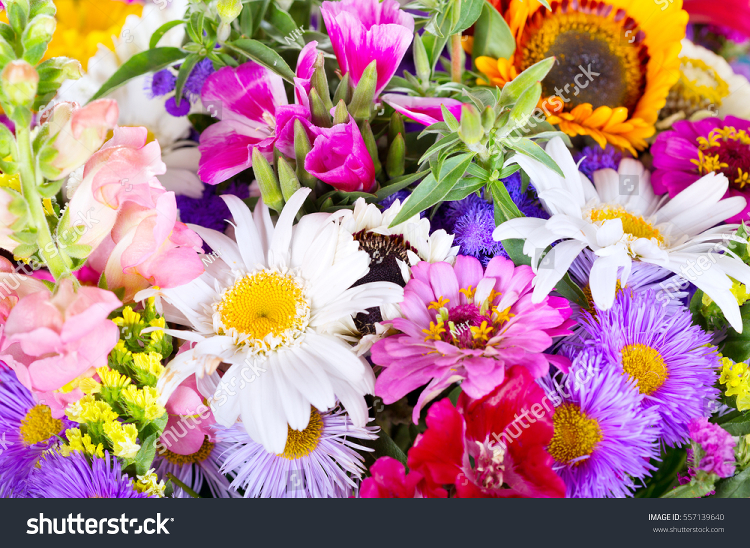 close up of bouquet of various summer flowers as background. #557139640