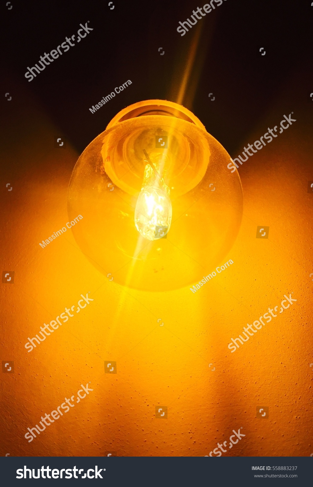 light bulb, bulb #558883237