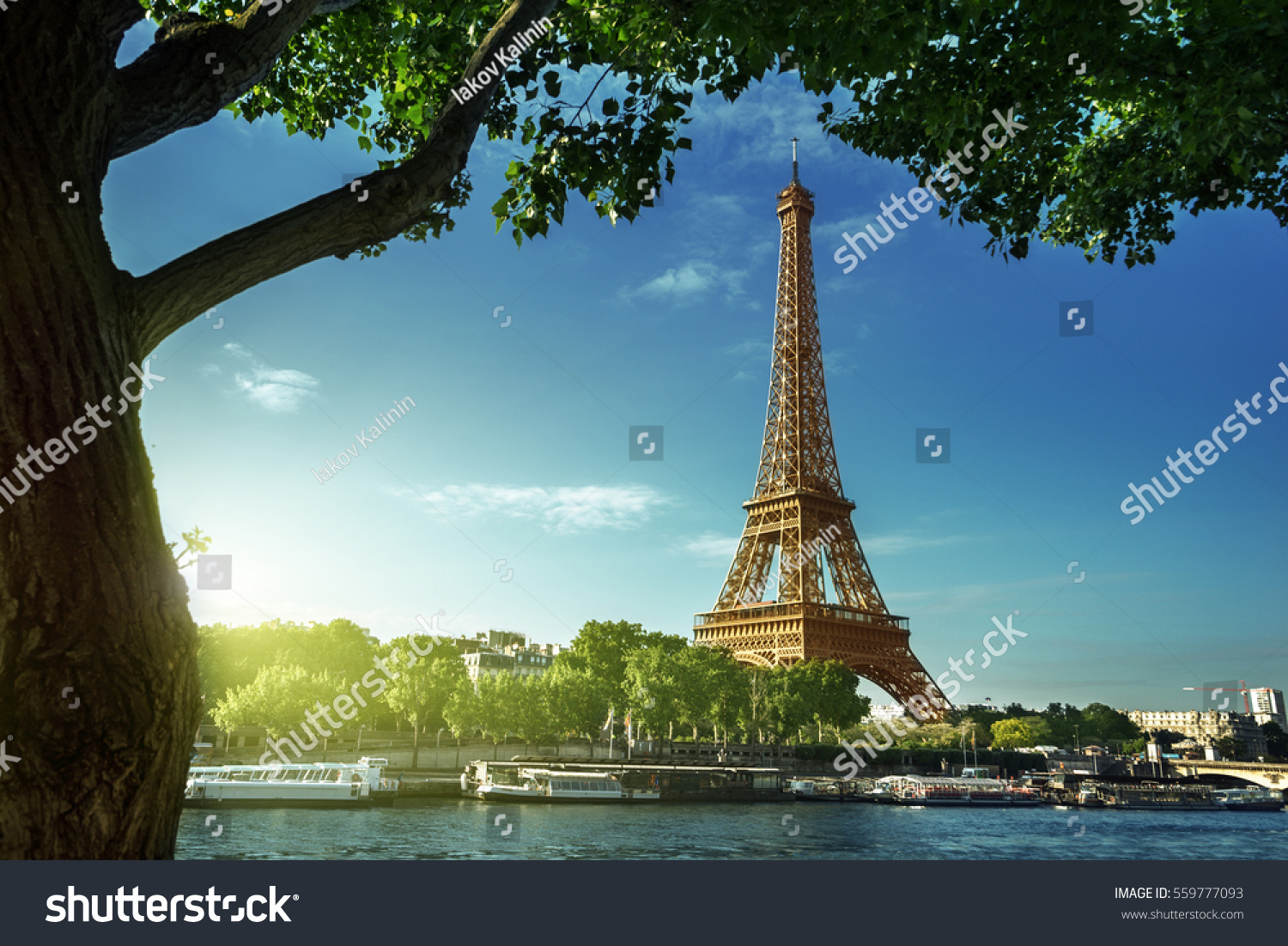 Eiffel tower, Paris. France #559777093