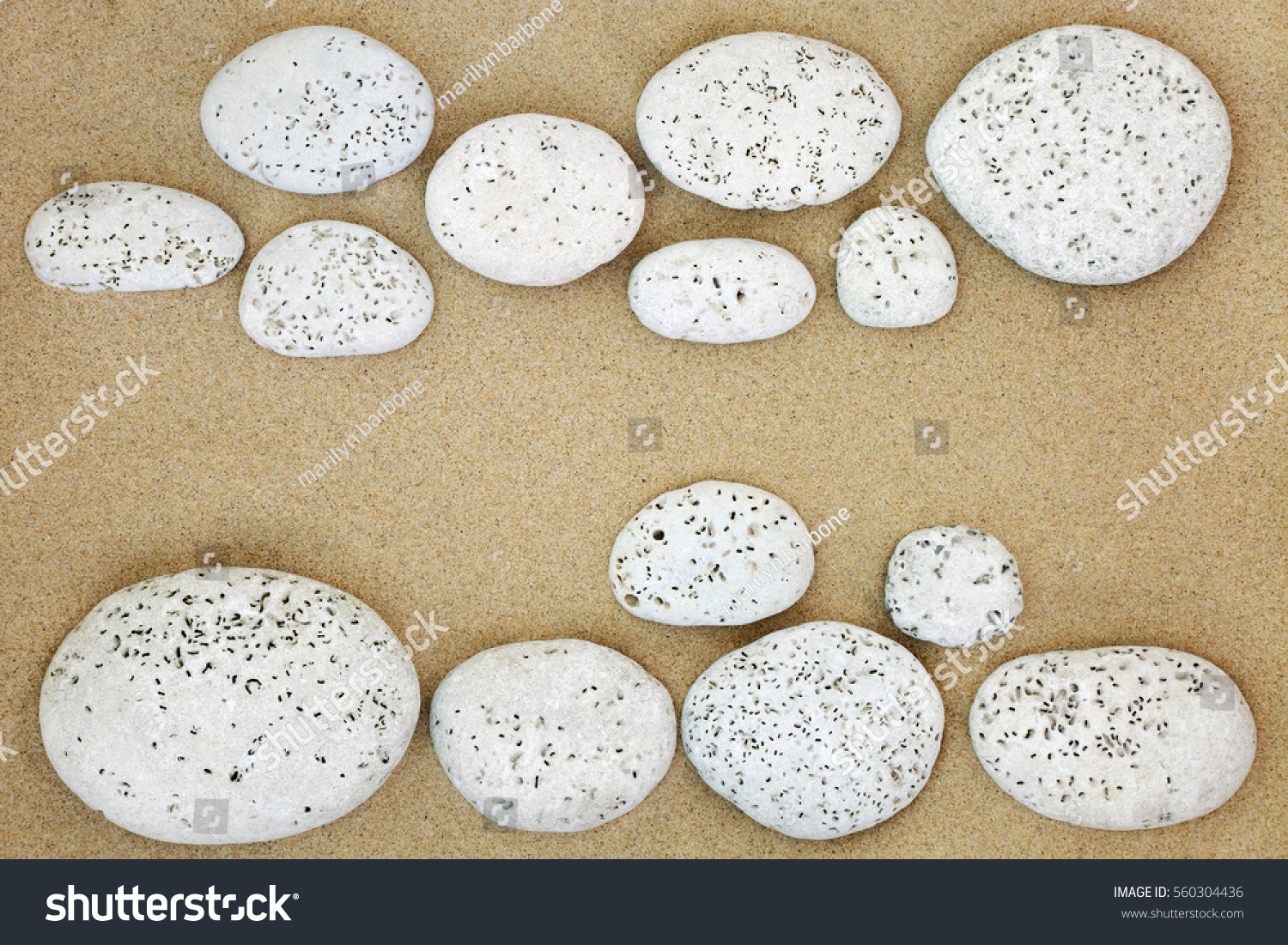 Abstract beach background on sand with white stones with bore holes made by bivalve molluscs. #560304436
