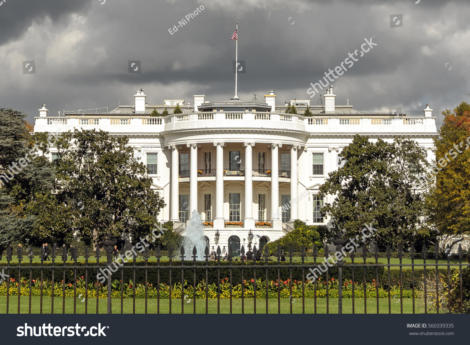 The White House in Washington DC, United States #560339335