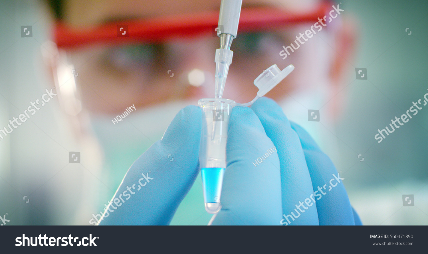 some of the protein test tubes on a sterile container with the ice are taken by a hand with sterile gloves for analysis of proteins and amino acids #560471890