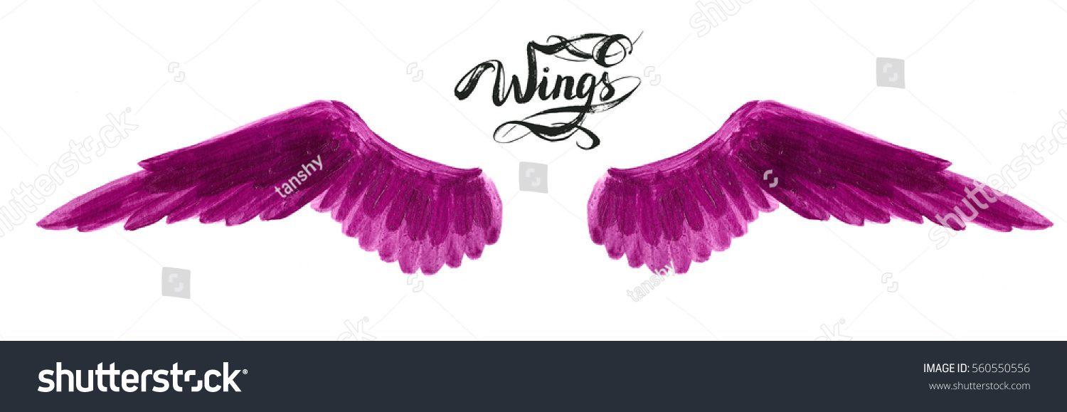 angel wings, lettering, drawing #560550556
