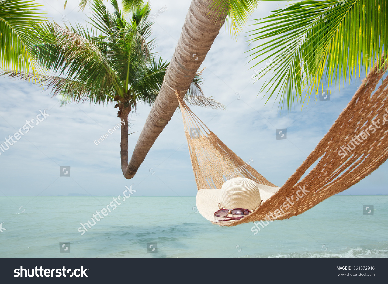 view of nice hummock with palms around in tropical environment #561372946