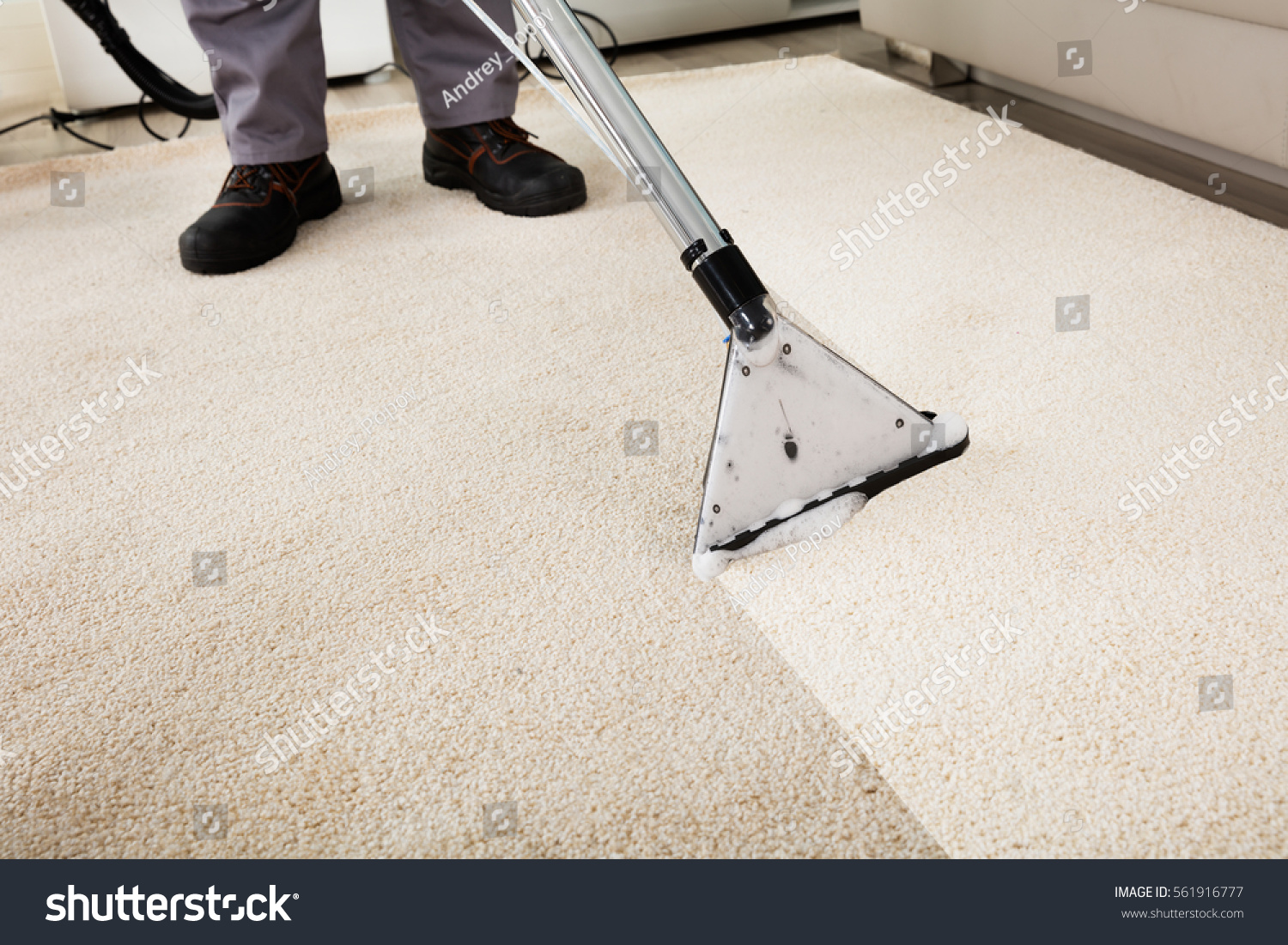 Close-up Of A Person Cleaning Carpet With Vacuum Cleaner #561916777
