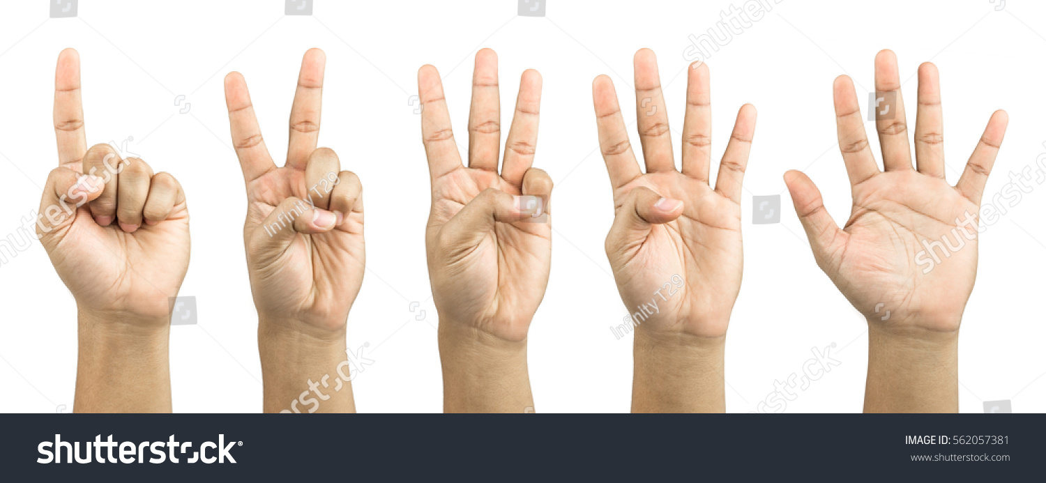 One to five fingers count signs isolated on white background #562057381