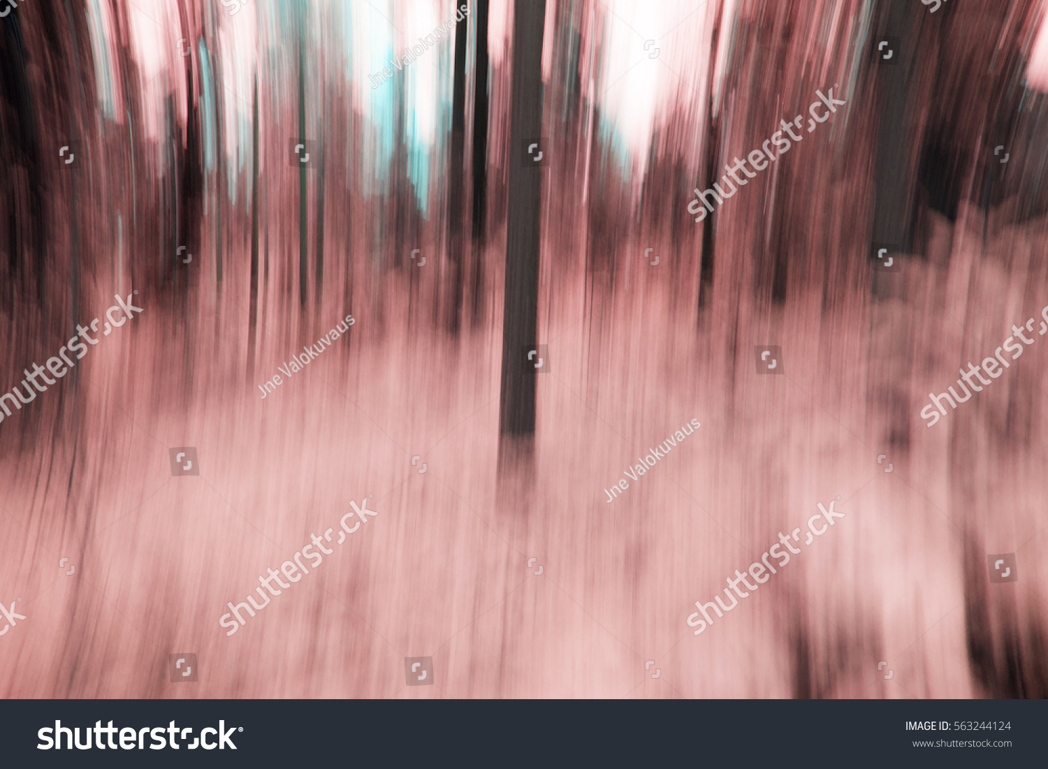 Forest scenery with blur effect. The blur effect is made by moving the camera vertically. Fantasy colored forest. #563244124