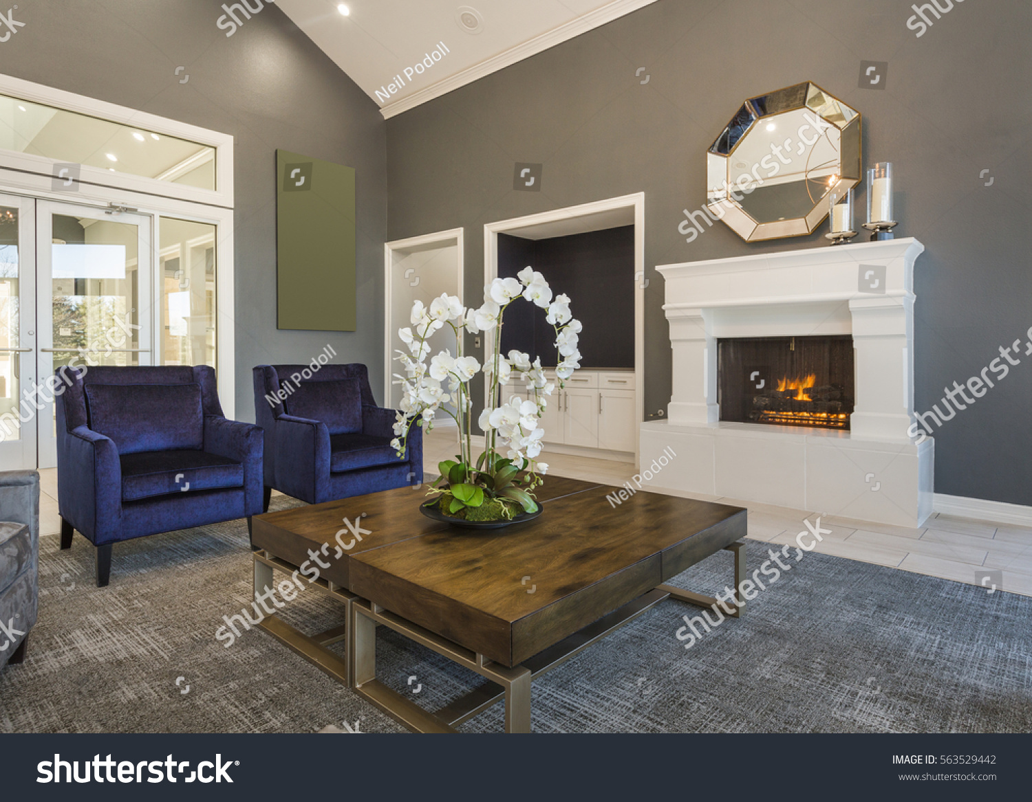Luxury living room #563529442