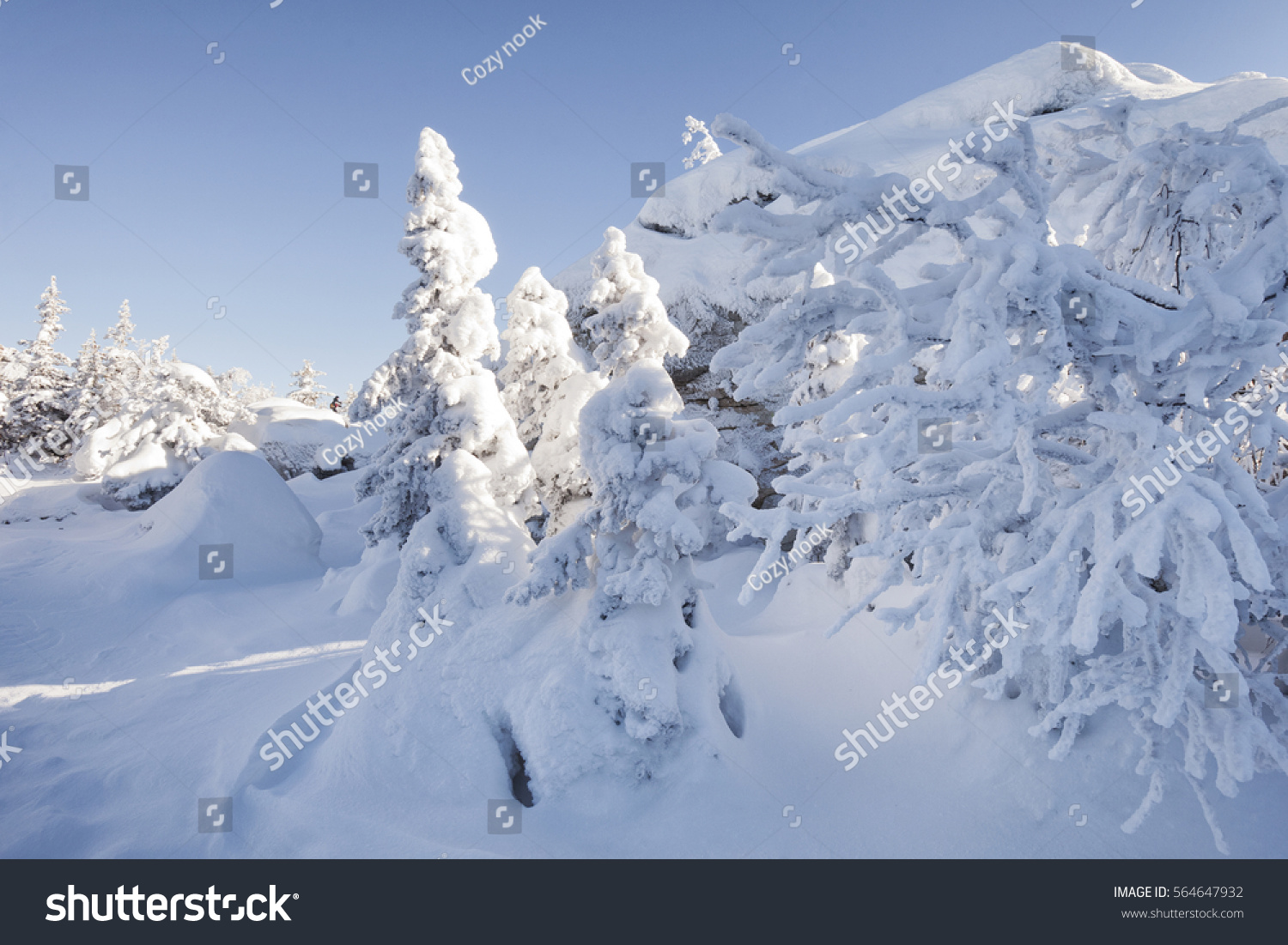 Snow covered fir trees and rocks. Winter landscape. Mountain range Zuratkul #564647932
