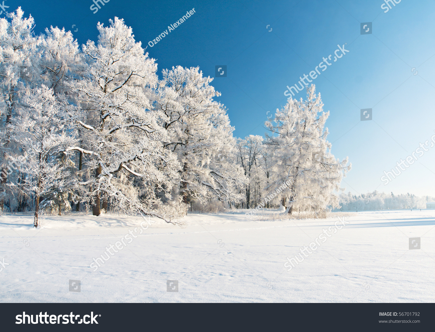 Winter park in snow #56701792