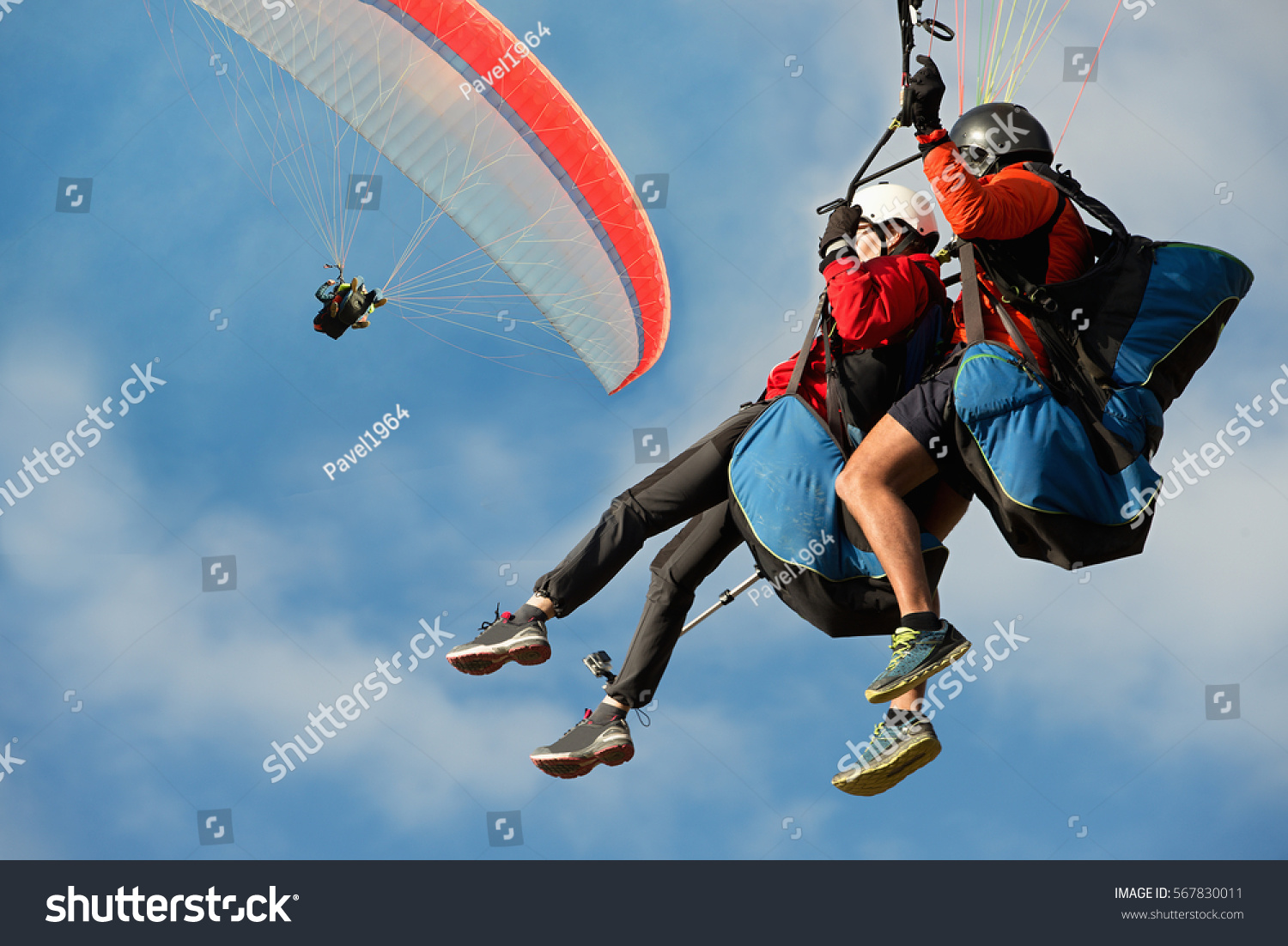 Two paraglider tandem fly against the blue sky,tandem paragliding guided by a pilot #567830011