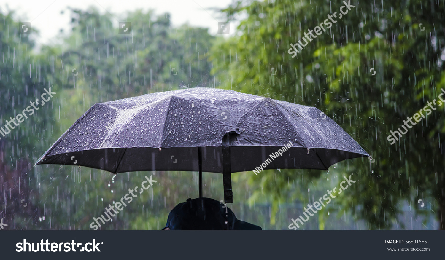 A person with an umbrella in the rain. #568916662