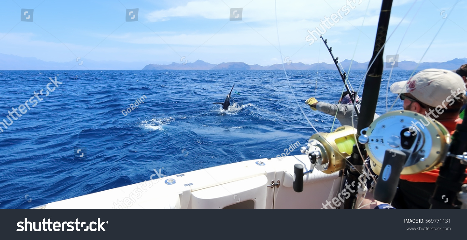 Big game fishing. Caught a marlin jumping near the boat. #569771131
