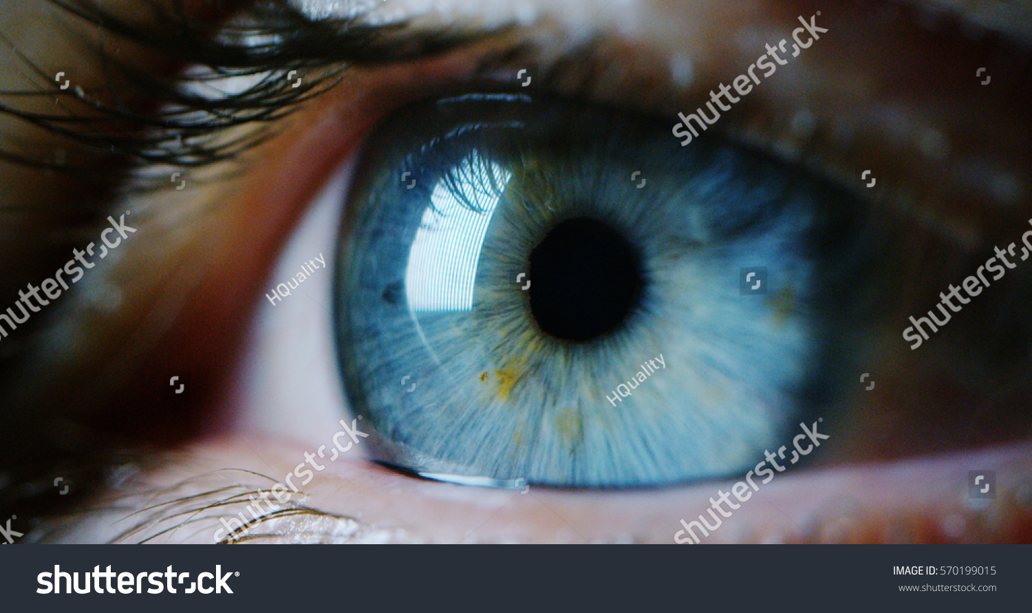 perfect blue eye macro in a sterile environment and perfect vision in resolution 6k,  concept, the vision of the future and healthy life concept. view precise and straight to the target. #570199015
