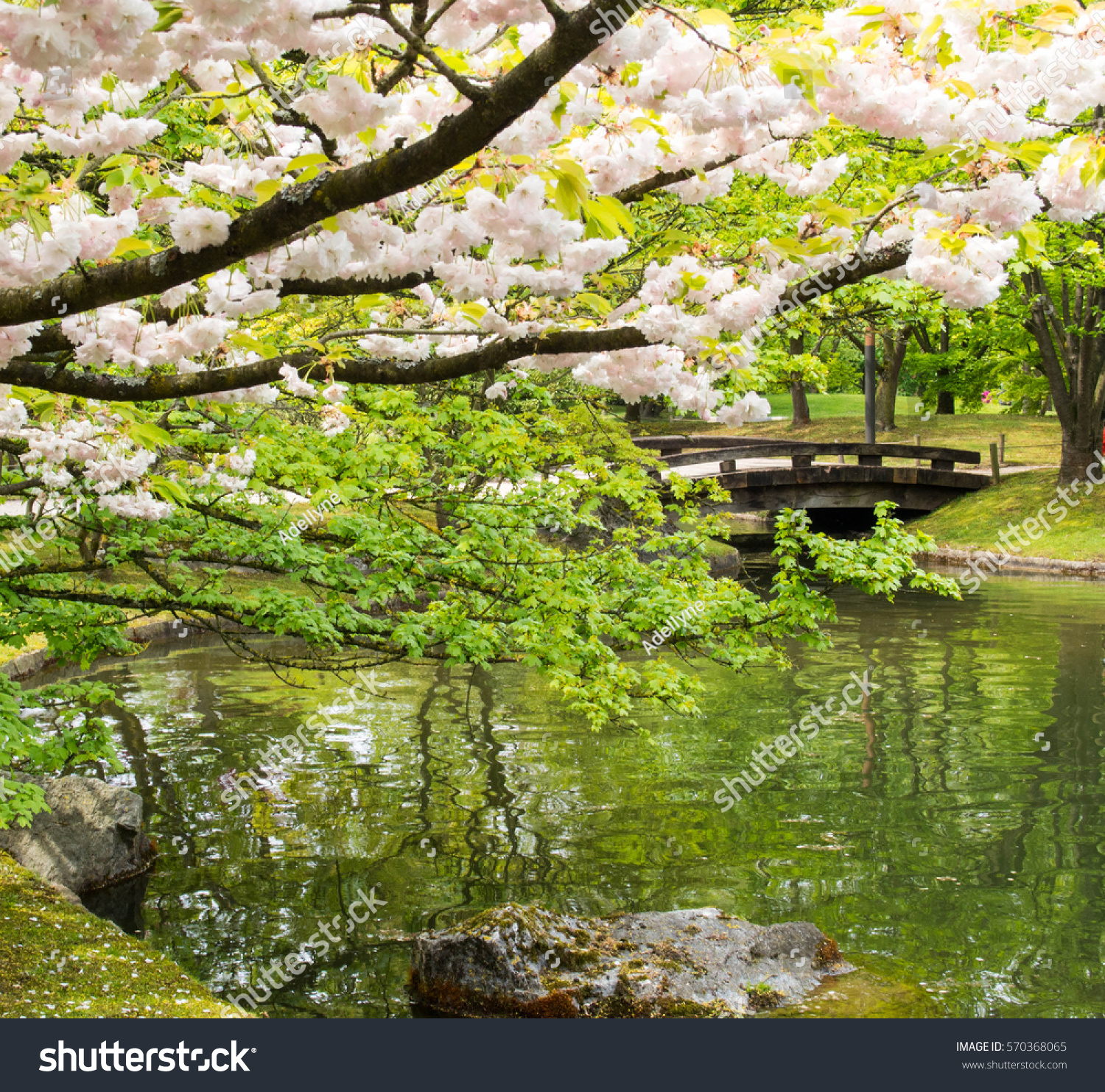Japanese Garden in Hasselt, Belgium #570368065