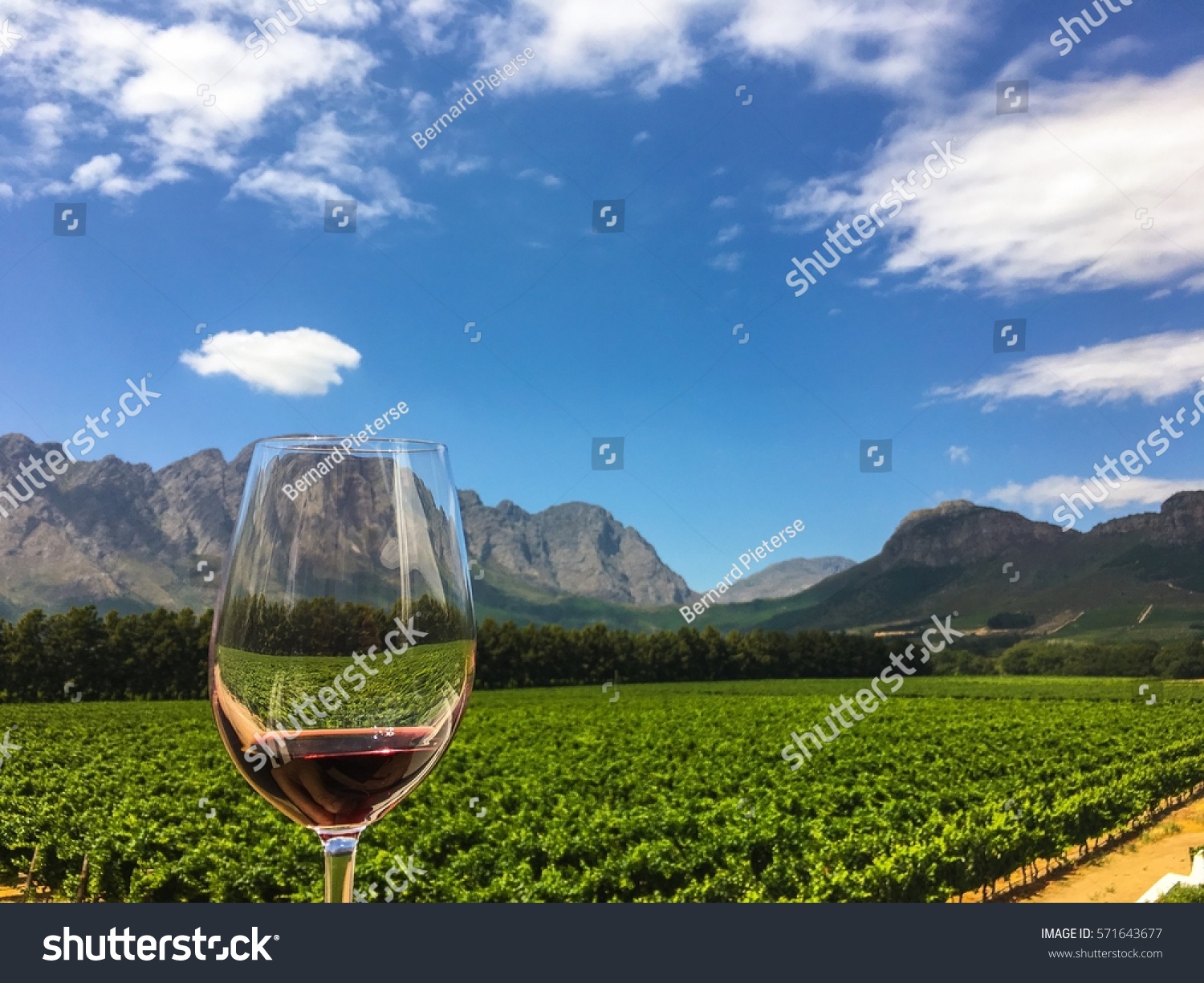 Franschhoek wine tasting in the Western Cape, South Africa. #571643677