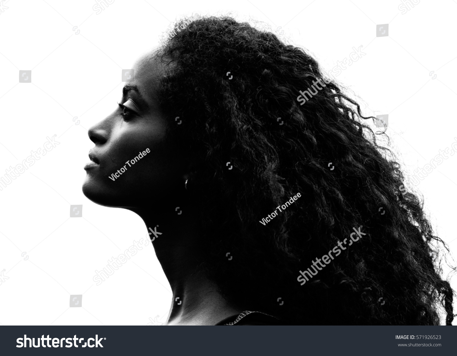 Greyscale head shot portrait in profile of a beautiful proud young woman with gorgeous curly black hair raising her head and stretching her neck over a white background #571926523