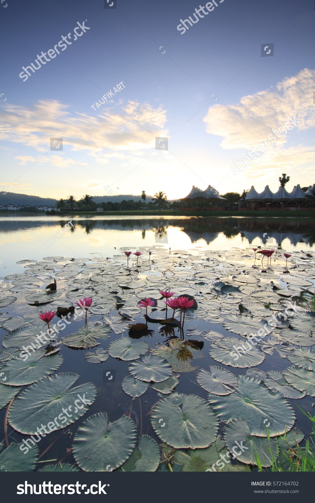 Sunrise At Tasik Darul Aman Jitra Kedah Malaysia Royalty Free Stock Photo 572164702 Avopix Com