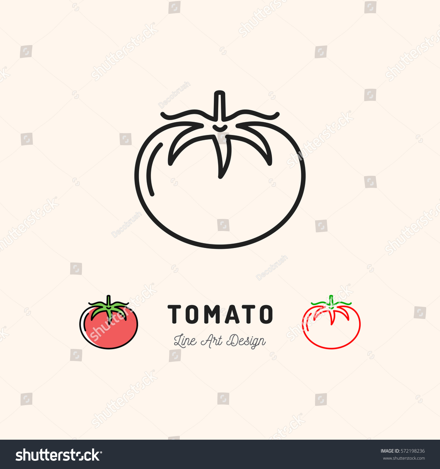 Vector Tomato icon Vegetables logo. Thin line art design, outline illustration #572198236