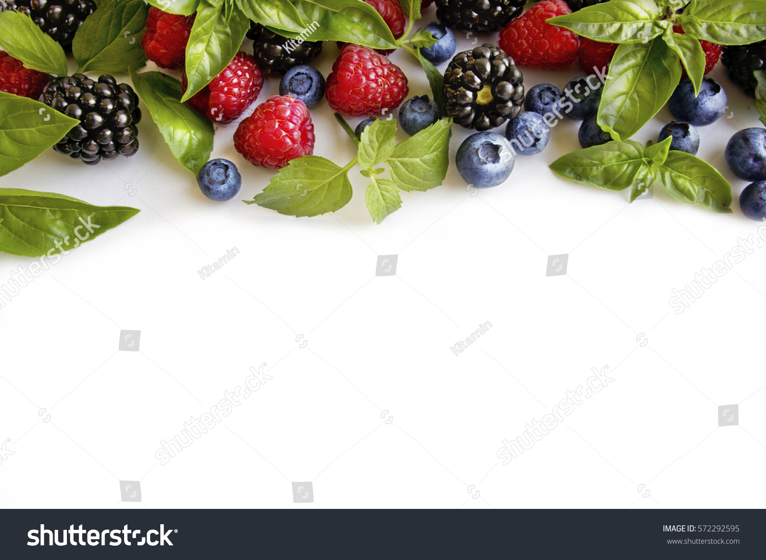 Various fresh summer berries on white background. Ripe raspberries, blackberries, blueberries, mint and basil leaves. Berries at border of image with copy space for text. Background berries. #572292595