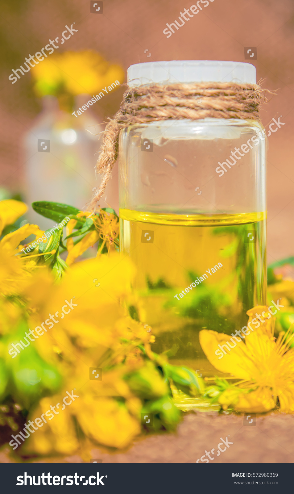 St. John's wort tincture in a small bottle.  #572980369