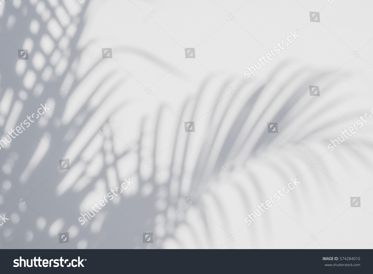 abstract background of shadows palm leaves on a white wall. White and Black #574284010