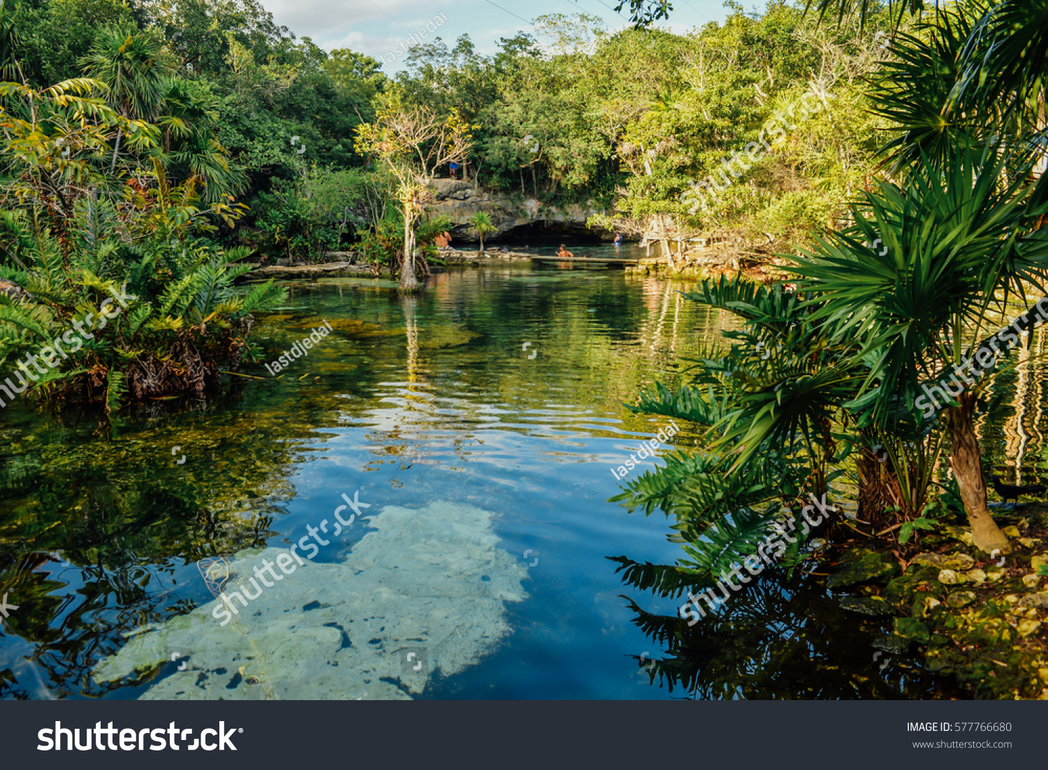 Azul cenote, Akumal, Quintana Roo, Mexico #577766680
